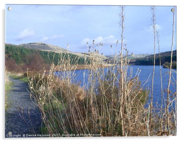 Grasses at Crowden Reservoir  Acrylic by Denise Heywood