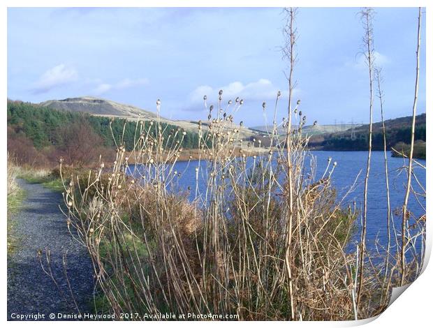 Grasses at Crowden Reservoir  Print by Denise Heywood