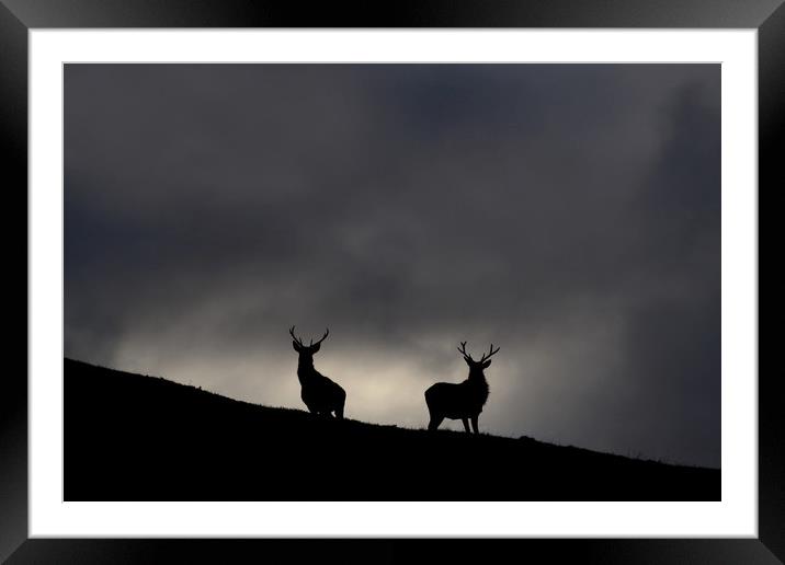 Strathfarrar Silhouettes Framed Mounted Print by Macrae Images