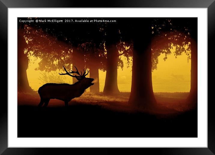Red Deer Cervus Elaphus The Call Of the Wild Framed Mounted Print by Mark McElligott