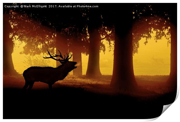 Red Deer Cervus Elaphus The Call Of the Wild Print by Mark McElligott