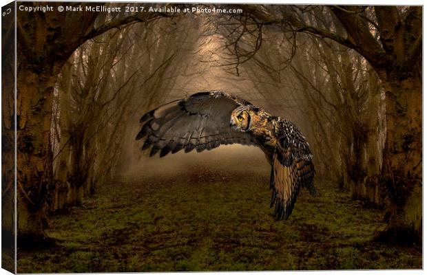 Feathers Of The Enchanted Forest Canvas Print by Mark McElligott