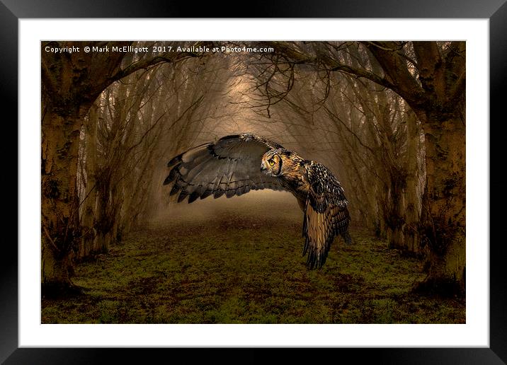 Feathers Of The Enchanted Forest Framed Mounted Print by Mark McElligott