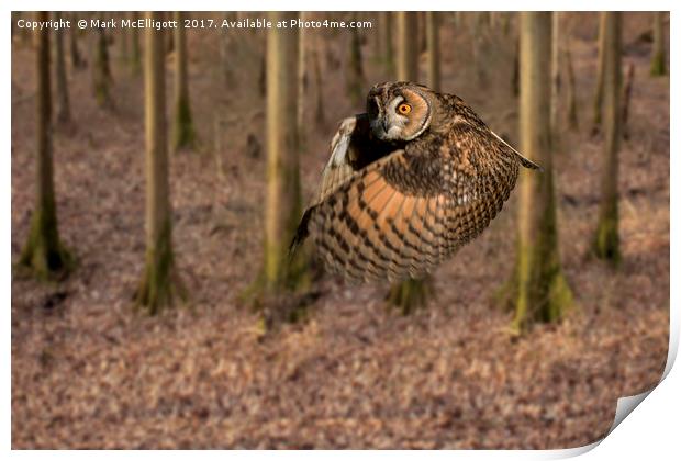 Eagle Owl On It's Daily Hunt Print by Mark McElligott