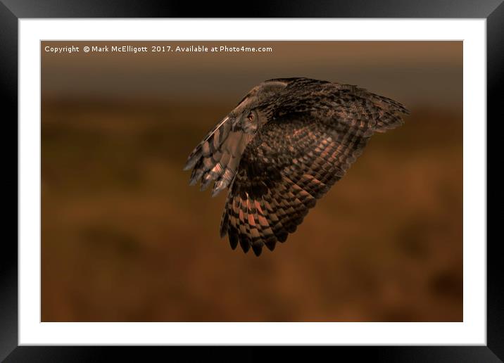Eagle Owl Fly By Framed Mounted Print by Mark McElligott