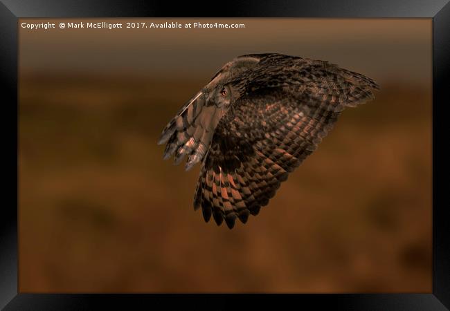 Eagle Owl Fly By Framed Print by Mark McElligott