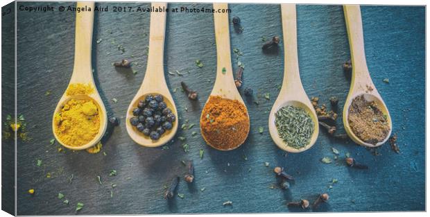 Mixed Spices. Canvas Print by Angela Aird
