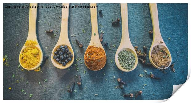 Mixed Spices. Print by Angela Aird