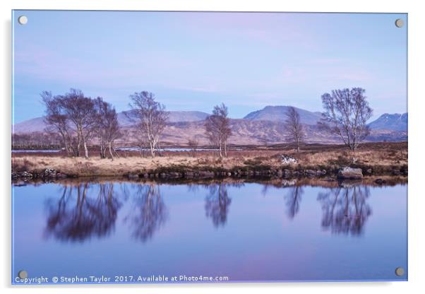 Silver Birches at Loch Ba Acrylic by Stephen Taylor