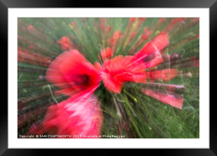 Poppy vortex  Framed Mounted Print by sam COATSWORTH