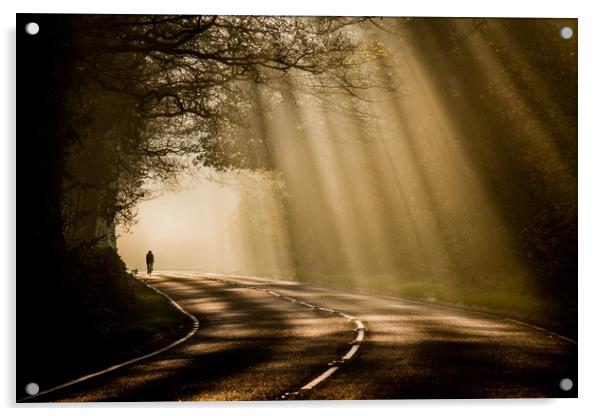 Cycling through sunrays Acrylic by Jonathan Smith