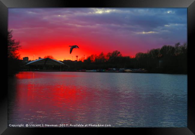 Sunset at Whitlingham Lake, Norwich, U.K Framed Print by Vincent J. Newman