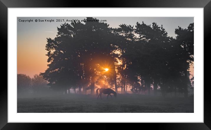 Misty Morning Sunrise Framed Mounted Print by Sue Knight