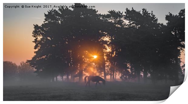 Misty Morning Sunrise Print by Sue Knight