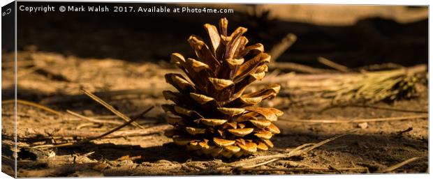 Pine cone Canvas Print by Mark Walsh