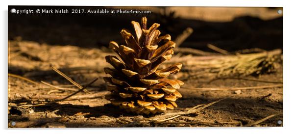 Pine cone Acrylic by Mark Walsh