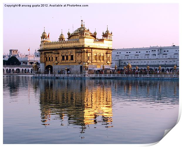 the golden temple Print by anurag gupta