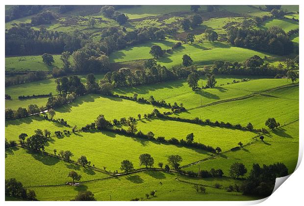 Newlands valley in the Lake District Print by Pete Hemington