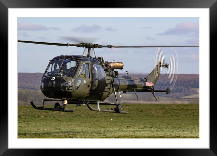 Westland Scout on Salisbury Plain Framed Mounted Print by Oxon Images