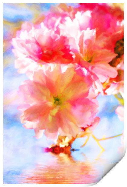 Cherry blossoms on the water  Print by Dagmar Giers