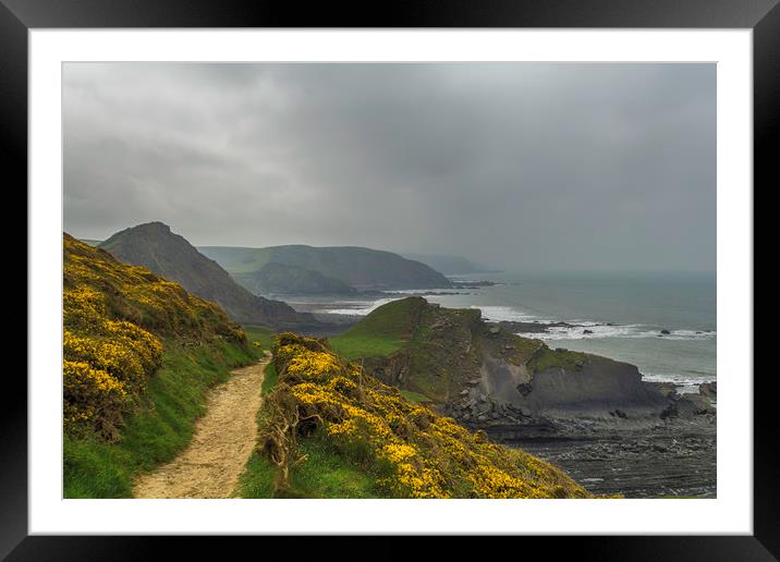 North Devon Coastal Path Framed Mounted Print by Images of Devon