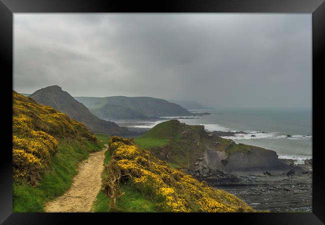 North Devon Coastal Path Framed Print by Images of Devon