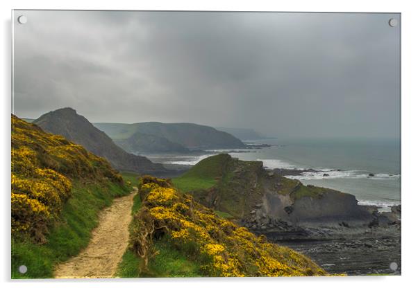 North Devon Coastal Path Acrylic by Images of Devon