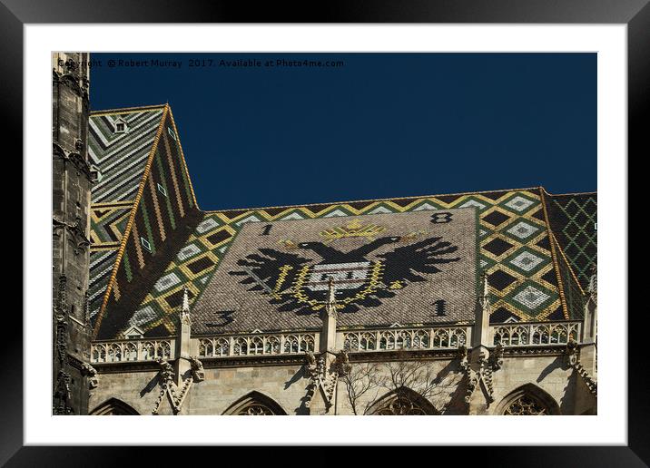 Stephansdom Cathedral roof detail Framed Mounted Print by Robert Murray