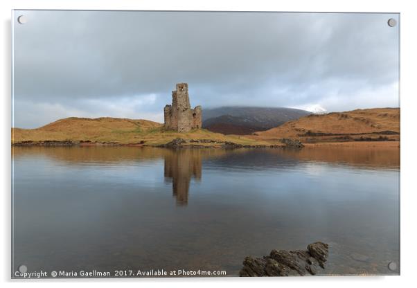 Ardvreck Castle reflecting in Loch Assynt Acrylic by Maria Gaellman
