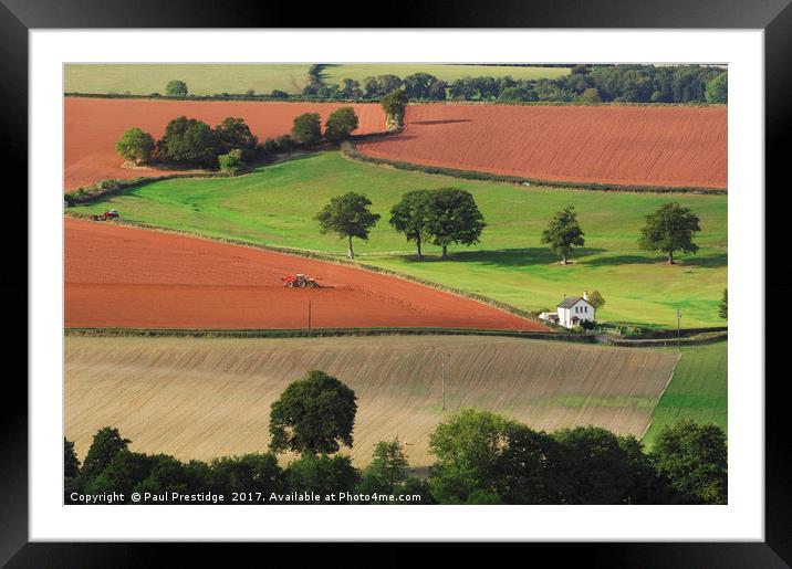 Landscape Near Cullompton, Devon Framed Mounted Print by Paul F Prestidge