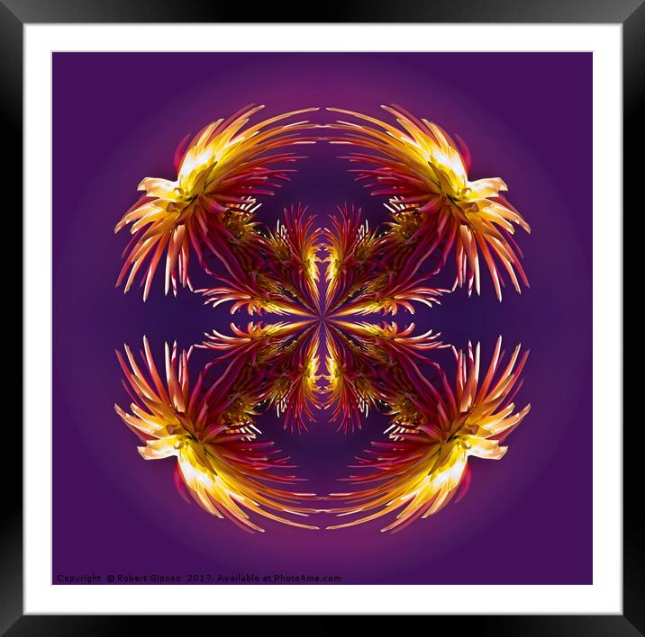 Abstract flower pattern  Framed Mounted Print by Robert Gipson