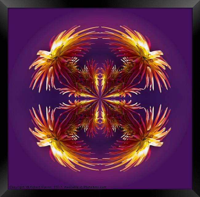 Abstract flower pattern  Framed Print by Robert Gipson