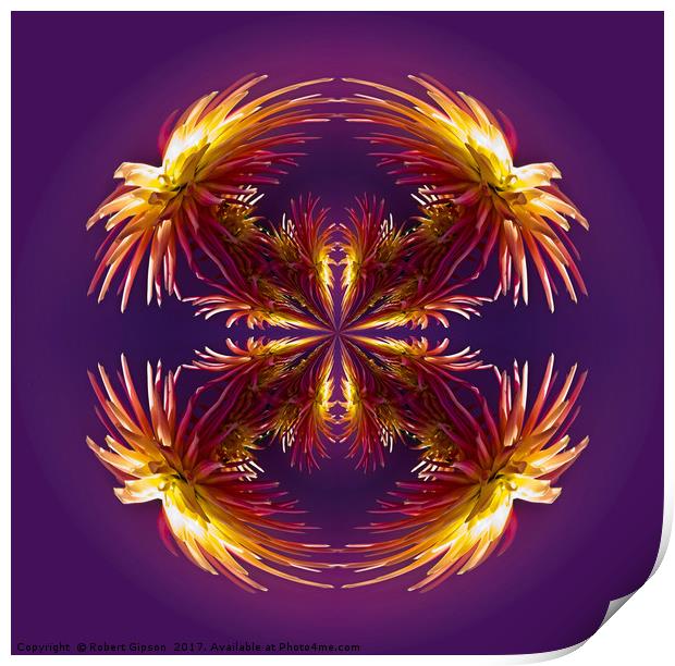 Abstract flower pattern  Print by Robert Gipson