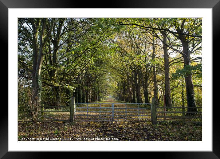 Gateway To Autumn Framed Mounted Print by David Chennell