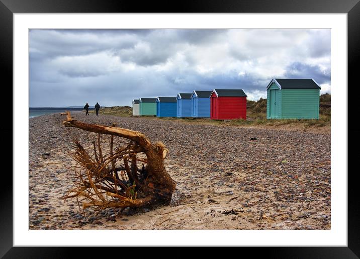 Not Beach Hut Weather at Findhorn Beach  Framed Mounted Print by Jacqi Elmslie