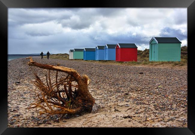 Not Beach Hut Weather at Findhorn Beach  Framed Print by Jacqi Elmslie