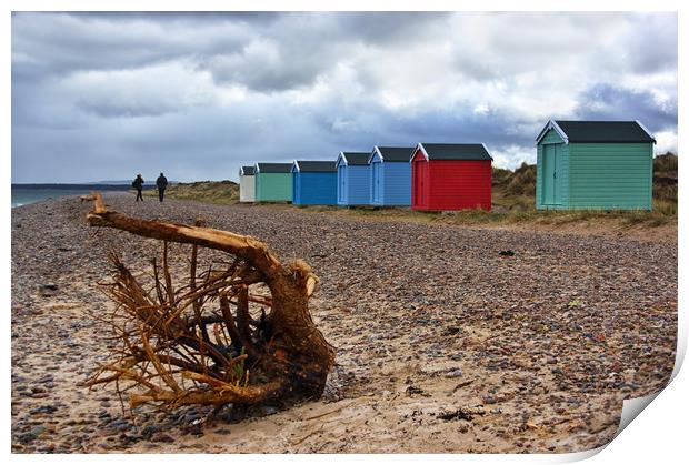 Not Beach Hut Weather at Findhorn Beach  Print by Jacqi Elmslie