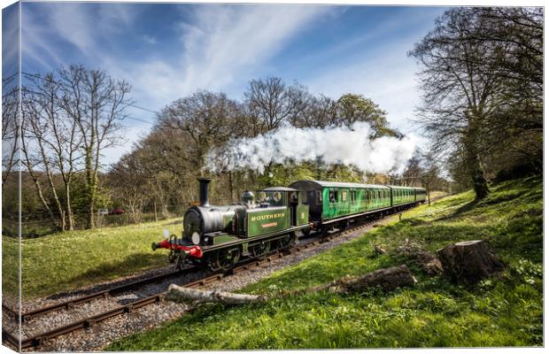 W8 Freshwater Steam Engine Canvas Print by Wight Landscapes