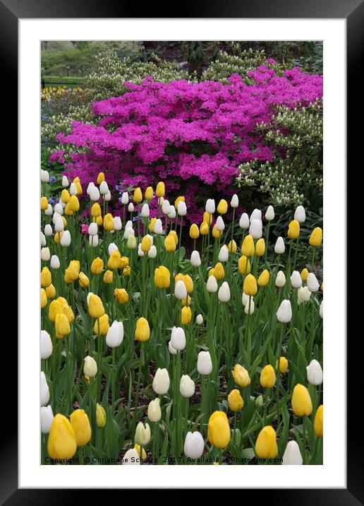 Coloursful Springtime Framed Mounted Print by Christiane Schulze