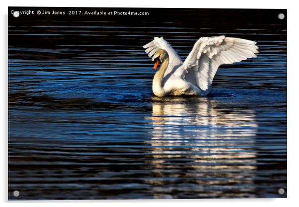 Stretching Swan Acrylic by Jim Jones