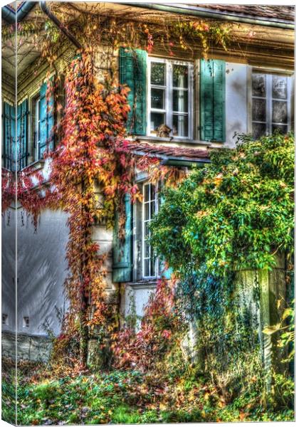Vine covered Swiss Country Cottage Canvas Print by Paul Williams