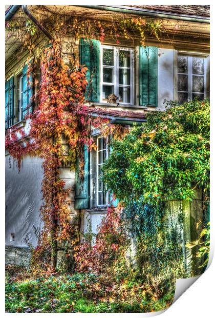 Vine covered Swiss Country Cottage Print by Paul Williams