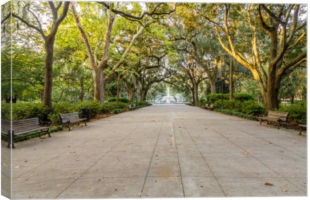 Forsyth Park in Early Morning Light Canvas Print by Darryl Brooks