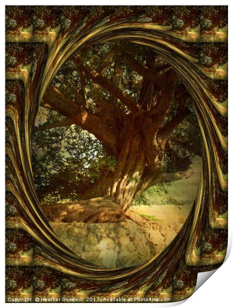 The Gnarled Yew. Print by Heather Goodwin
