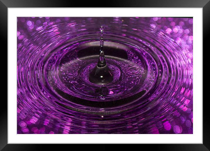 Splash of Purple Framed Mounted Print by Jennifer Higgs