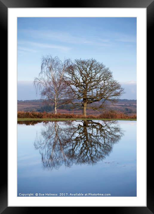Winter Trees, New Forest Framed Mounted Print by Sue Holness