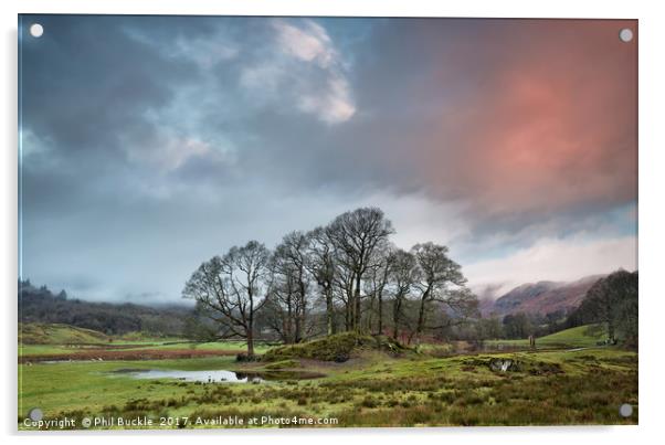 River Brathay Copse Sunrise Acrylic by Phil Buckle