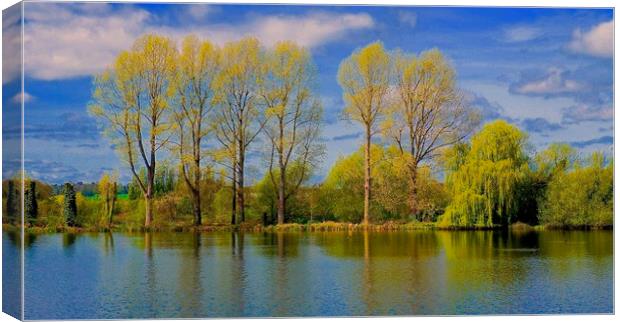 Springwell Lake Rickmansworth Hertfordshire        Canvas Print by Sue Bottomley