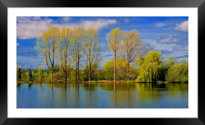 Springwell Lake Rickmansworth Hertfordshire        Framed Mounted Print by Sue Bottomley