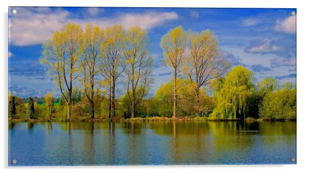 Springwell Lake Rickmansworth Hertfordshire        Acrylic by Sue Bottomley